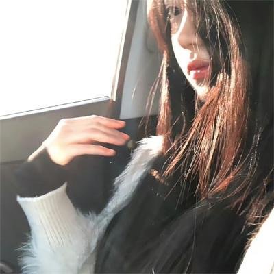 泽西海岸凶鲨案